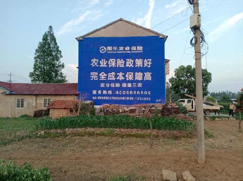 资兴墙体广告为何受追捧？